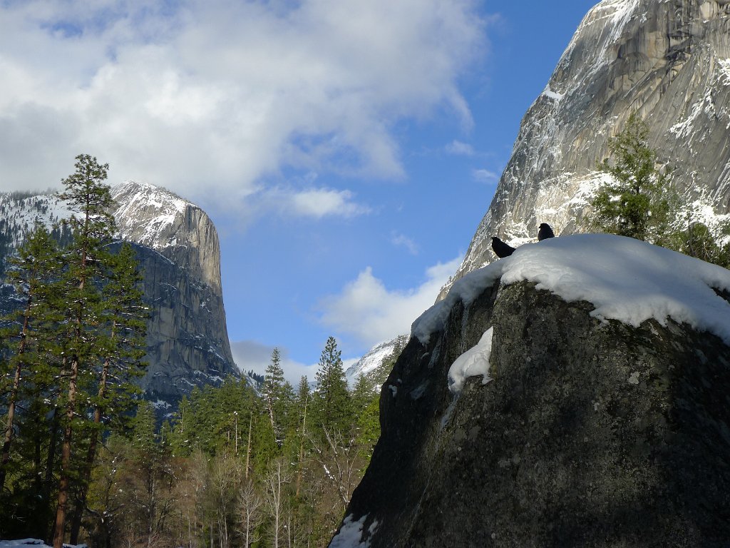 20110220-21_Yosemite 036.JPG